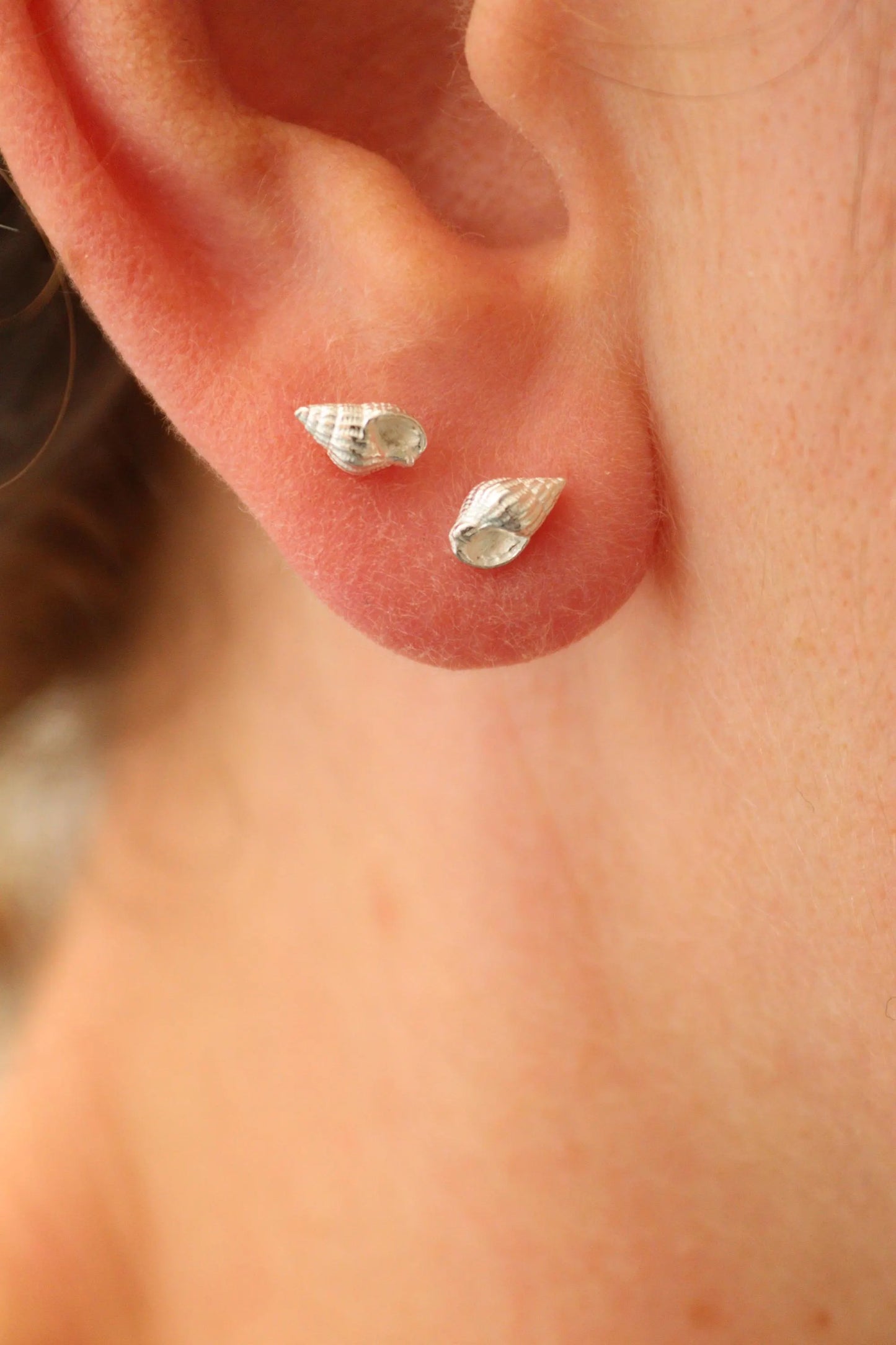 A pair of tiny seashell earrings shown being worn together in a first and second piercing. The shells are solid silver.