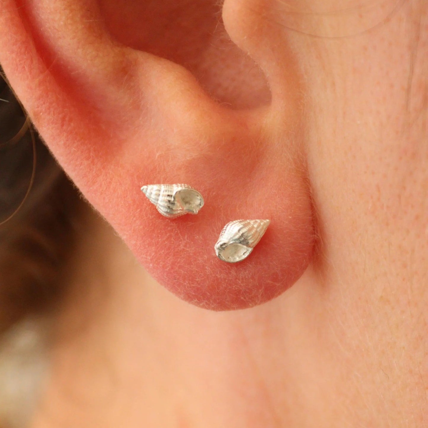 A pair of tiny seashell earrings shown being worn together in a first and second piercing. The shells are solid silver.