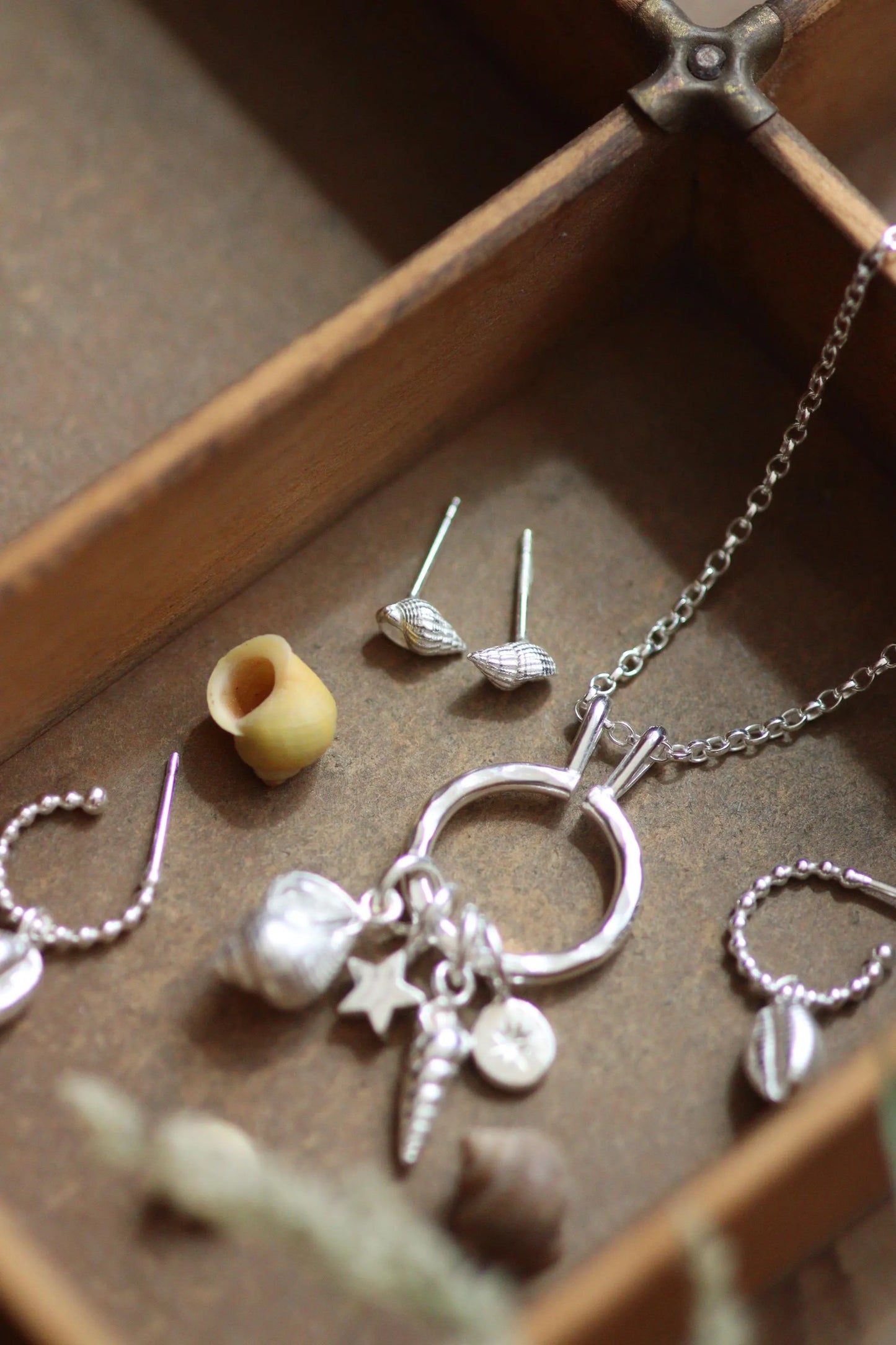 Tiny seashell studs shown within the seashell collection of handmade silver jewellery.