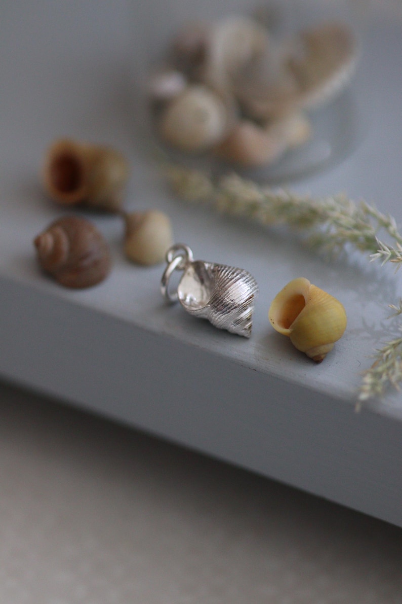 Mousehole Periwinkle Shell Silver Necklace