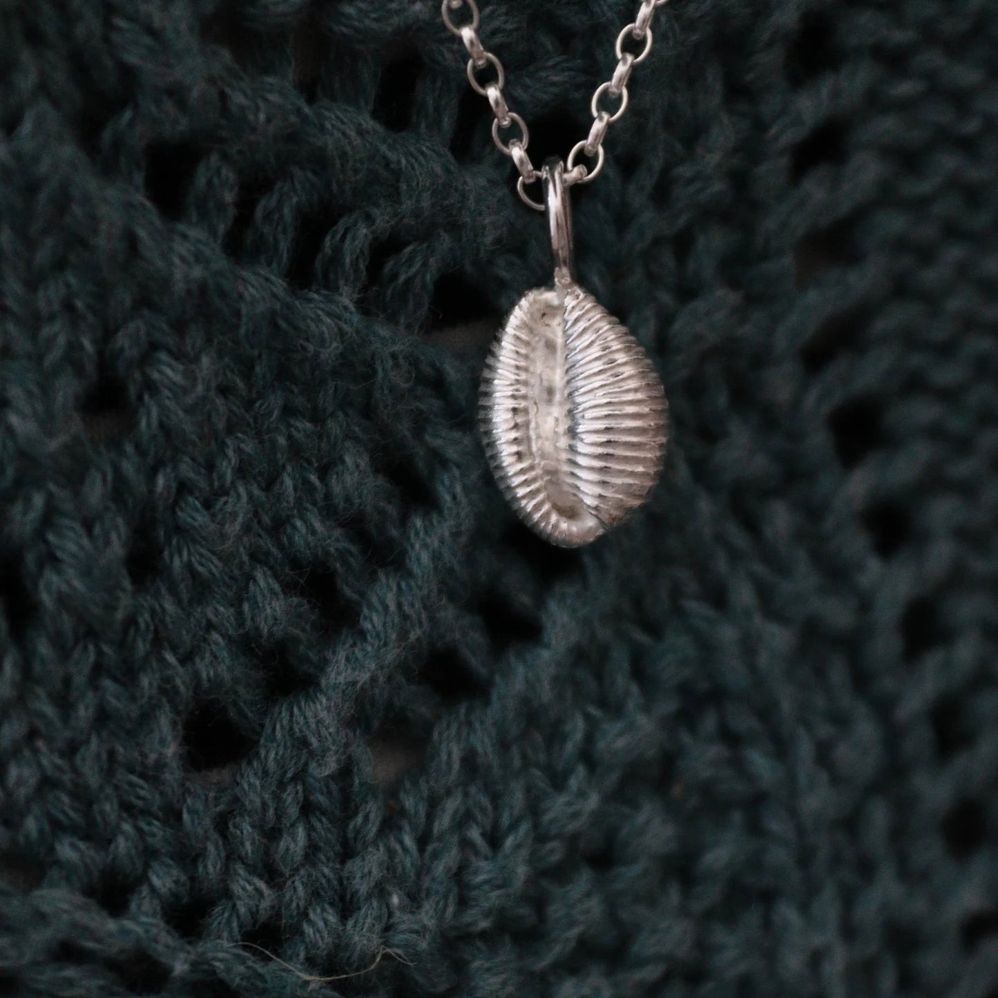 Solid Silver Cowrie Charm Necklace