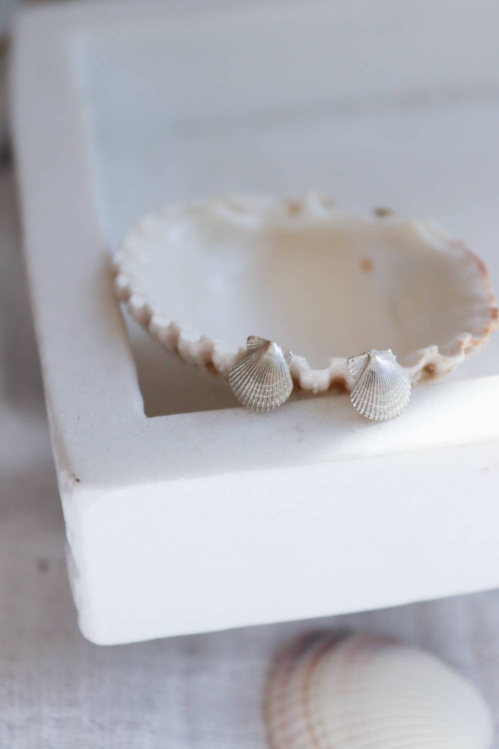 Silver Seashell Studs / Tiny Cornish Scallop Shells in Solid Sterling Silver
