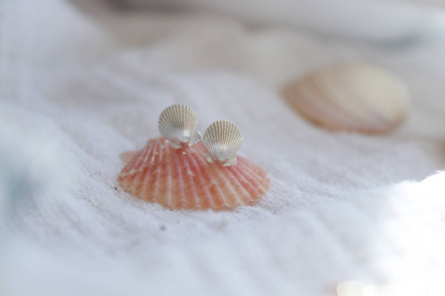 Silver Seashell Studs / Tiny Cornish Scallop Shells in Solid Sterling Silver