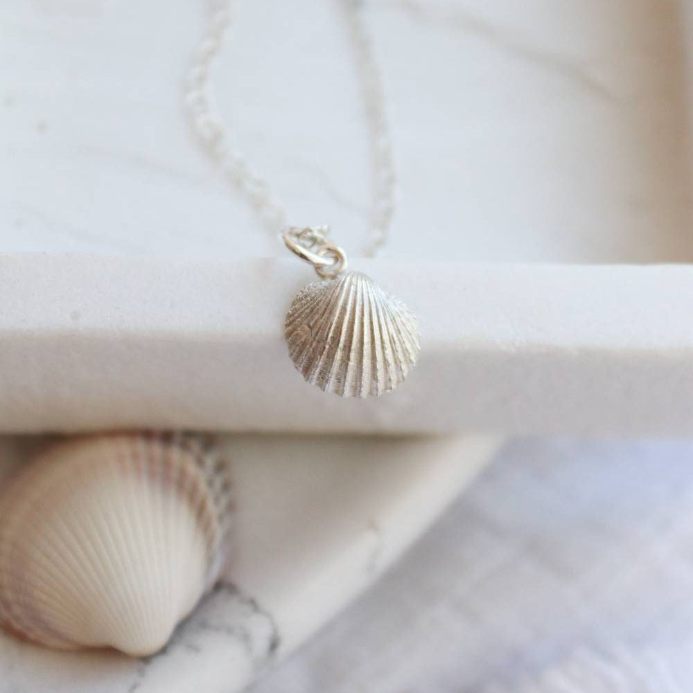 small silver cockle shell on a fine silver trace chain.