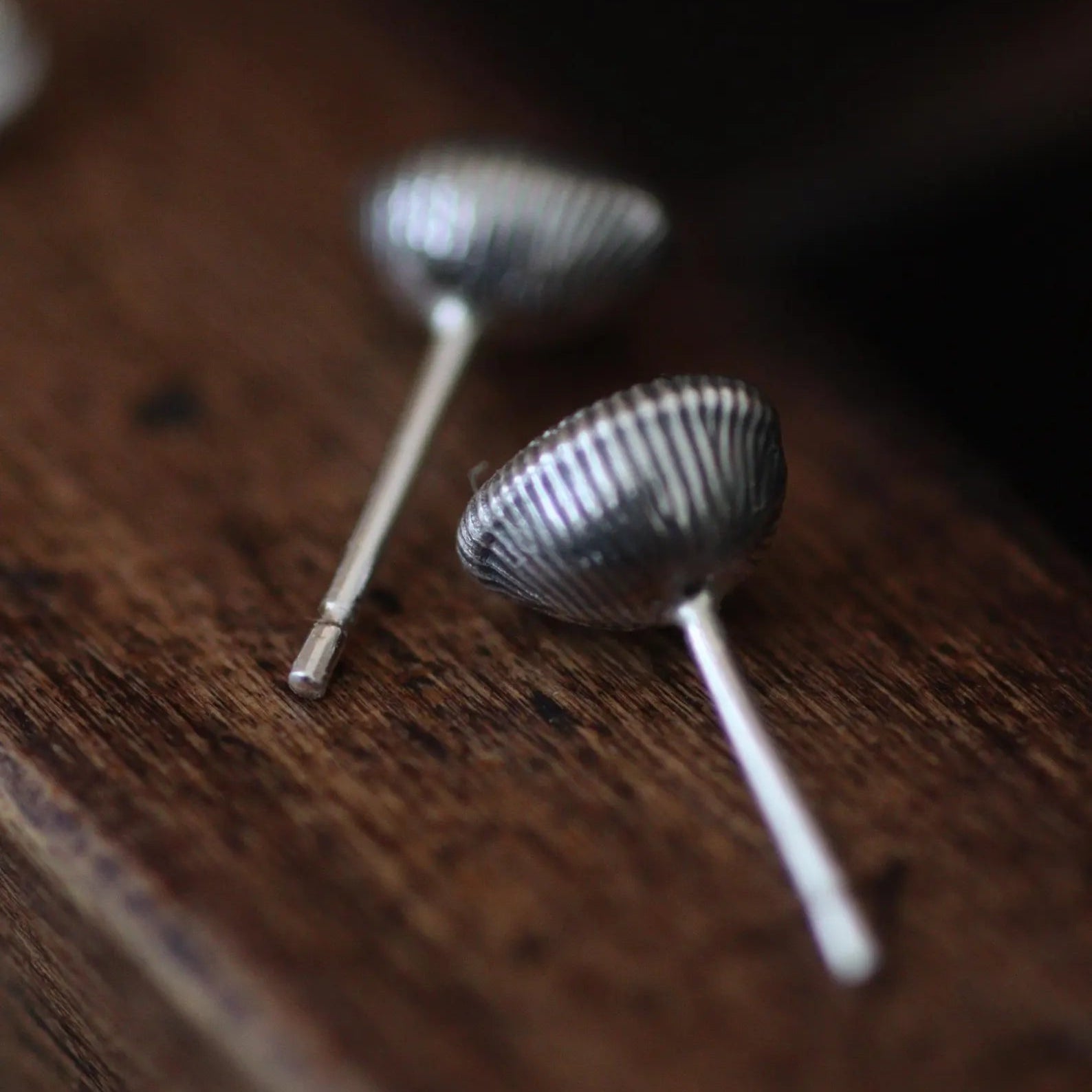 cowrie shape seashell earrings shown from behind to show both sides are detailed.