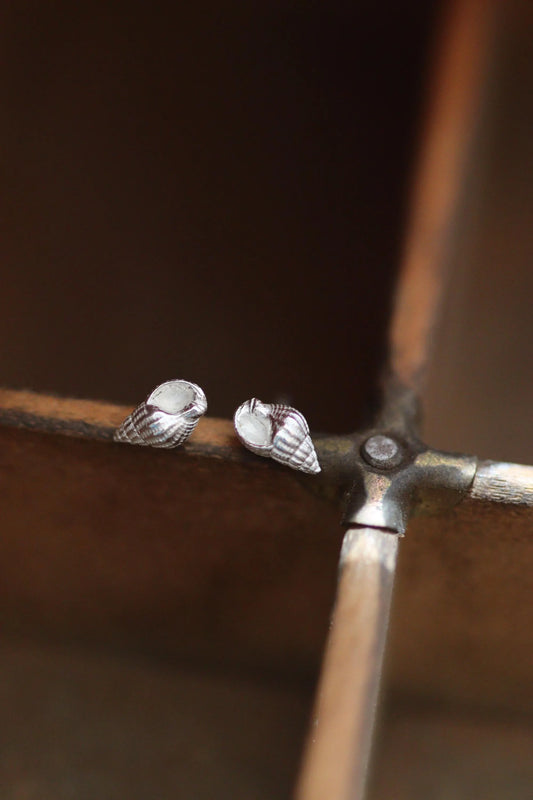 Tiny silver seashell earrings, whelks found on studland beach in dorset.