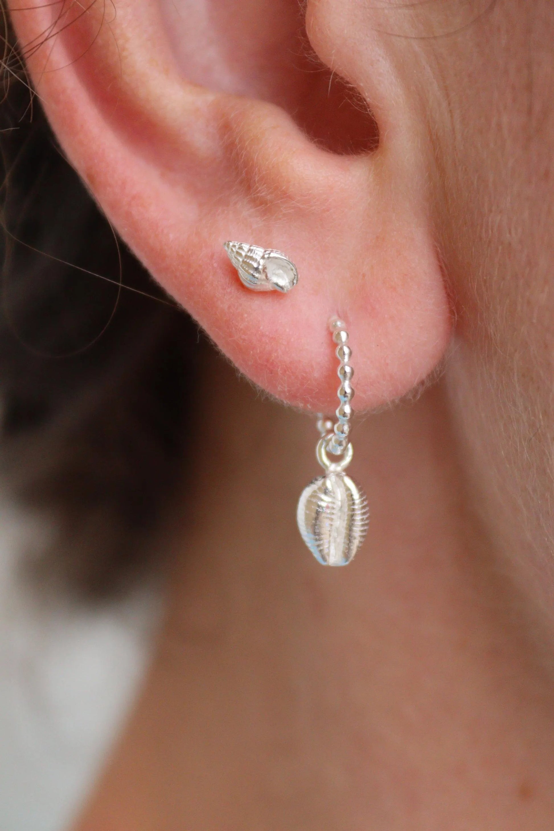 Tiny whelk earring shown in a second piercing with a cowrie huggie.