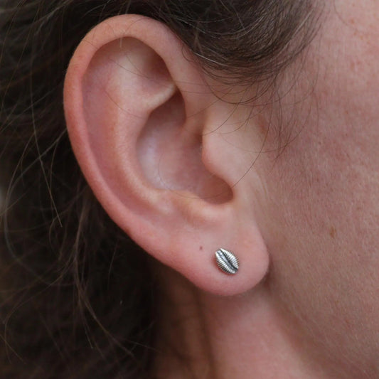 Solid silver cowrie earrings shown being worn in an earlobe piercing. Oxidised to bring out the shells detail.