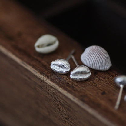 cowrie shaped stud earrings pictured with real groatie buckies.