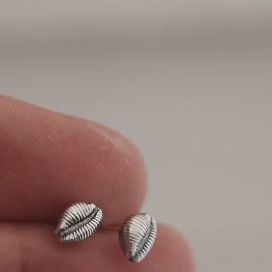 video of silver cowrie shell earrings showing how detailed they are.