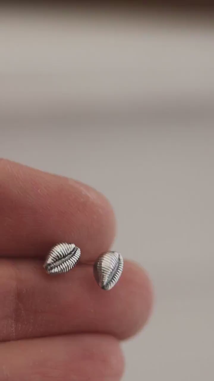 video of silver cowrie shell earrings showing how detailed they are.