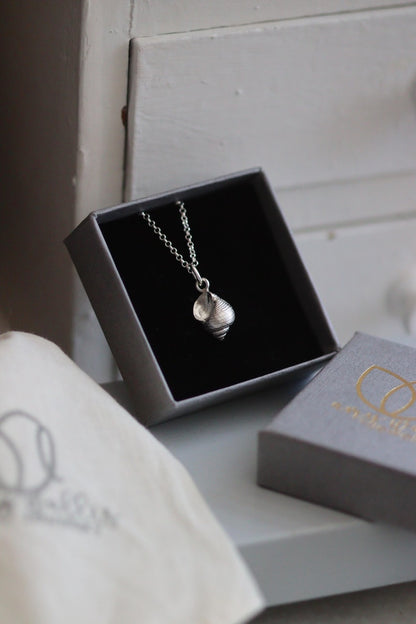 Mousehole Periwinkle Shell Silver Necklace