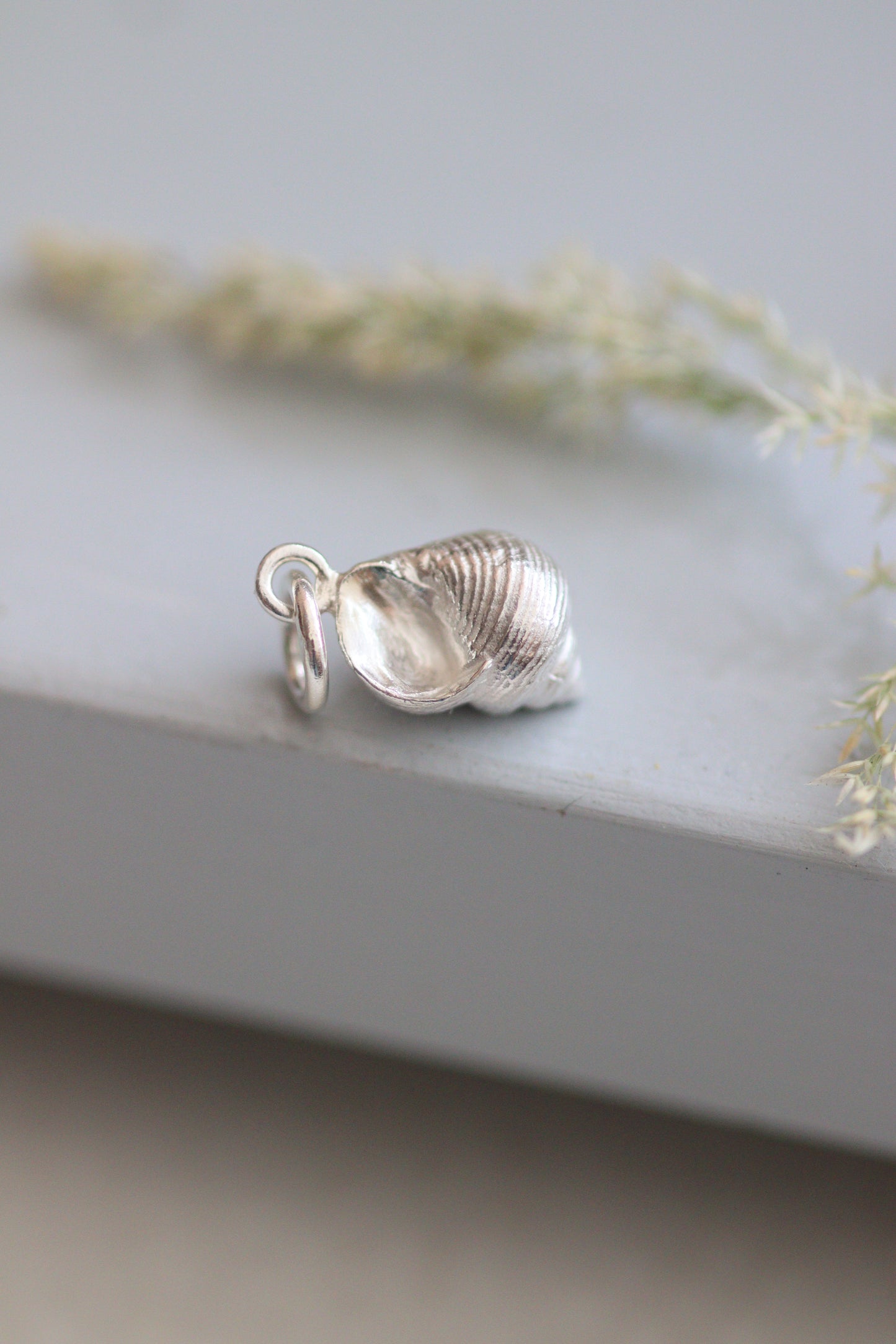 Mousehole Periwinkle Shell Silver Necklace