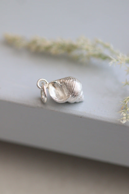 Mousehole Periwinkle Shell Silver Necklace