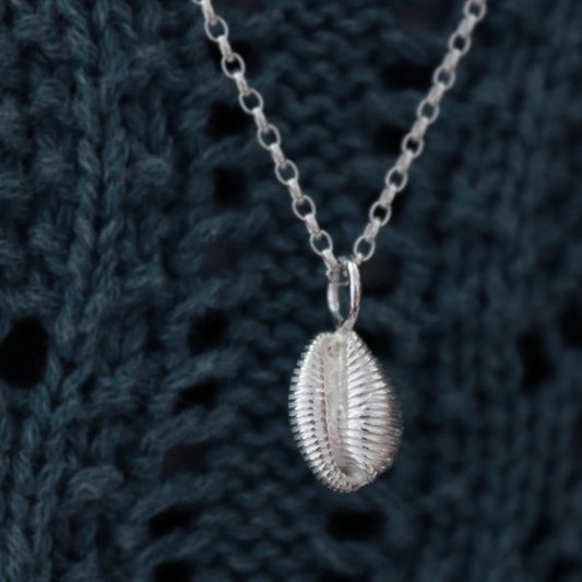 solid silver cowrie pendant on a belcher chain