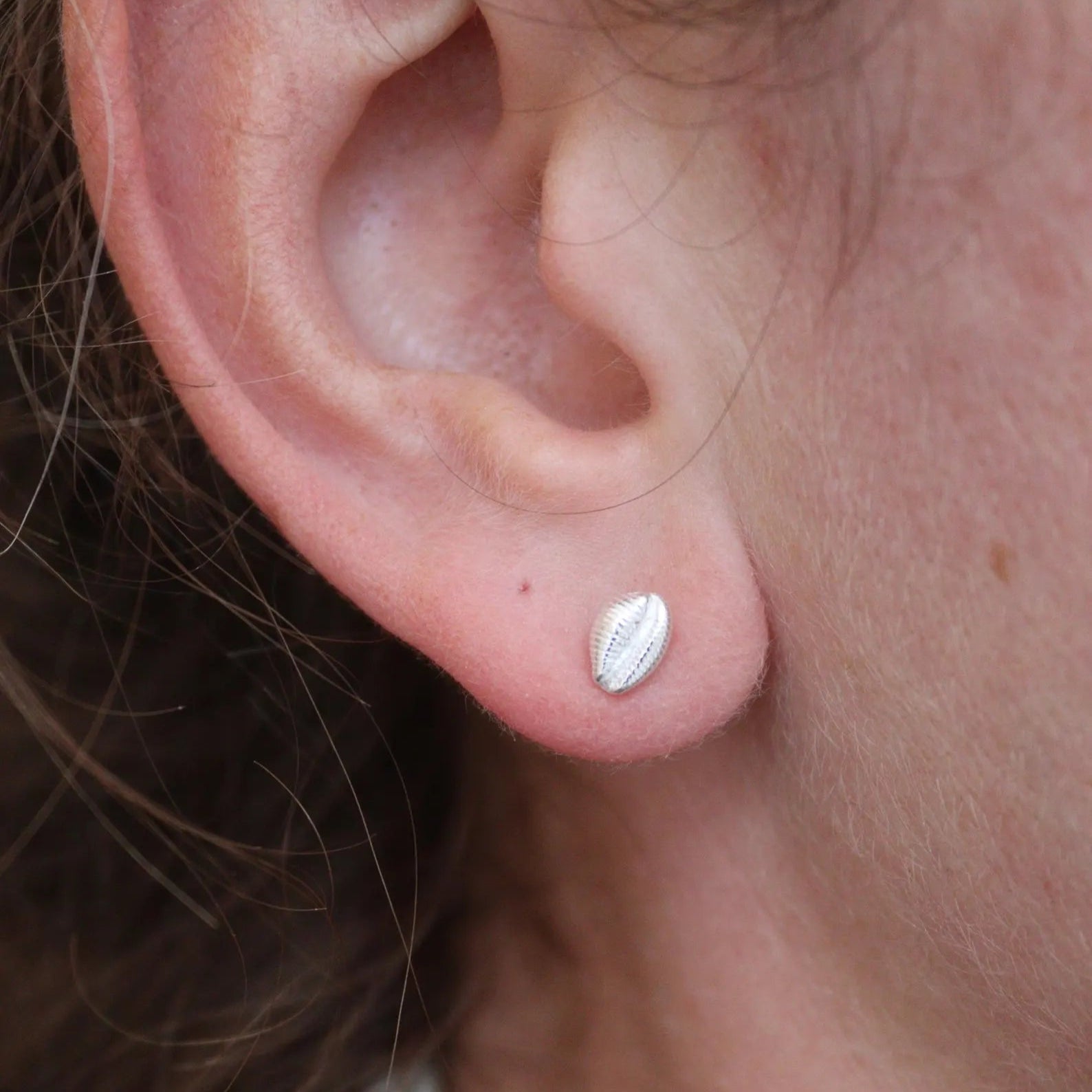 Bright solid silver cowrie earring being worn by a woman in her earlobe. 