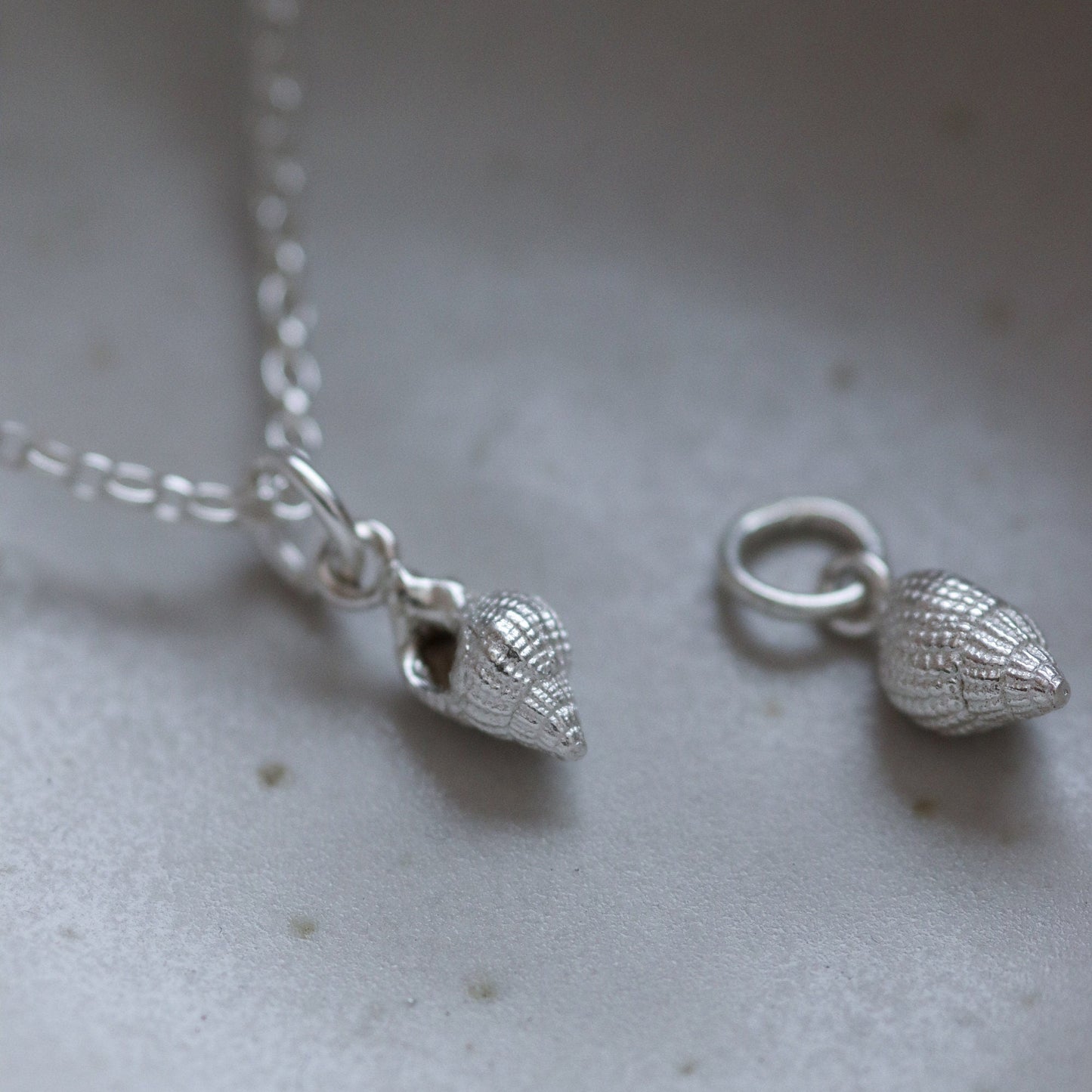 A tiny very detailed silver seashell on a fine silver chain. This is a mudeford whelk.