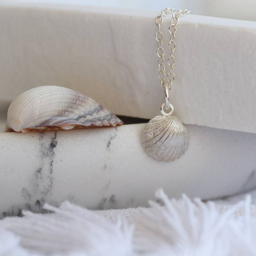 A detailed silver cornish cockle pendant on a fine silver trace chain next to a real cockle shell.