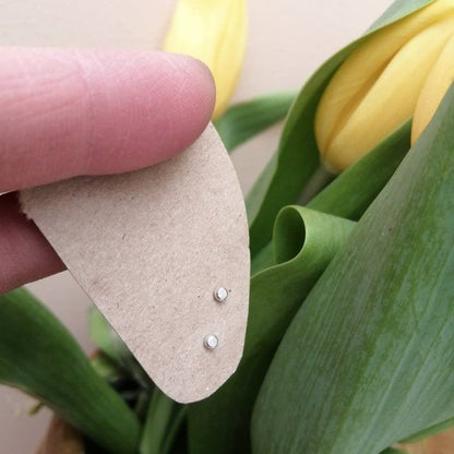 Tiny Silver Dot Studs
