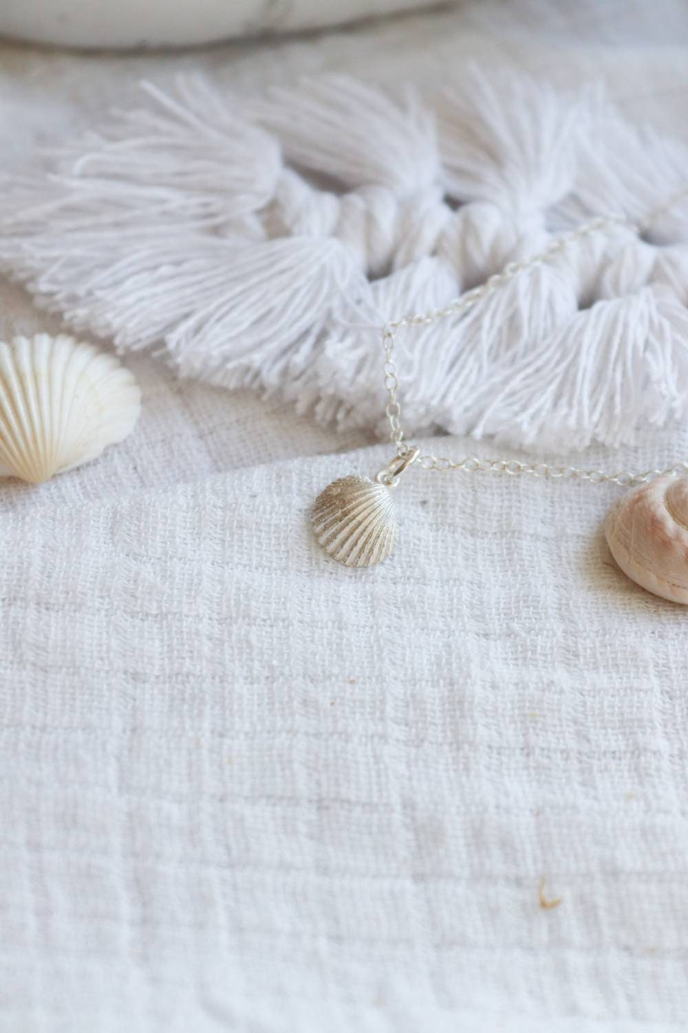 Silver Cornish Cockle Shell Necklace