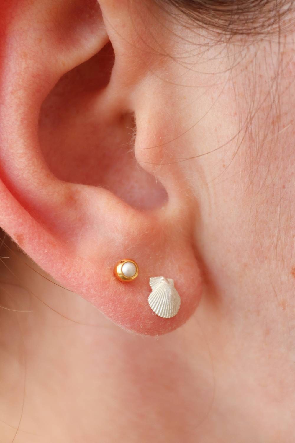 Silver Seashell Studs / Tiny Cornish Scallop Shells in Solid Sterling Silver