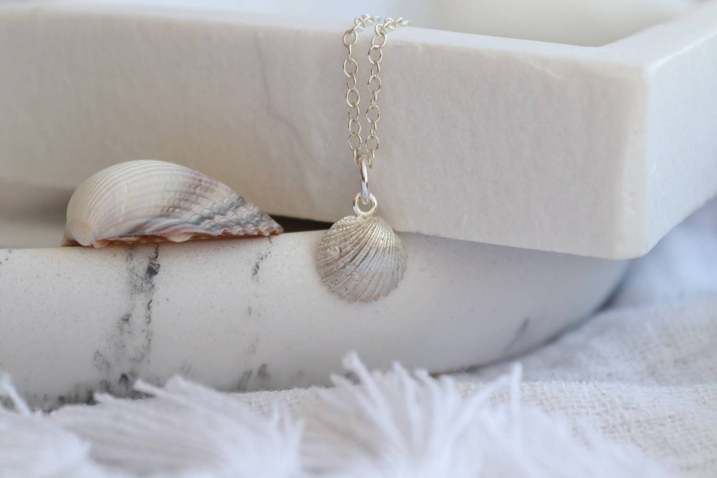 Silver Cornish Cockle Shell Necklace