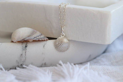 Silver Cornish Cockle Shell Necklace