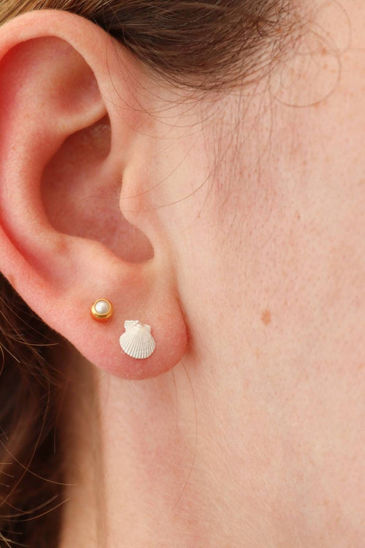 Silver Seashell Studs / Tiny Cornish Scallop Shells in Solid Sterling Silver