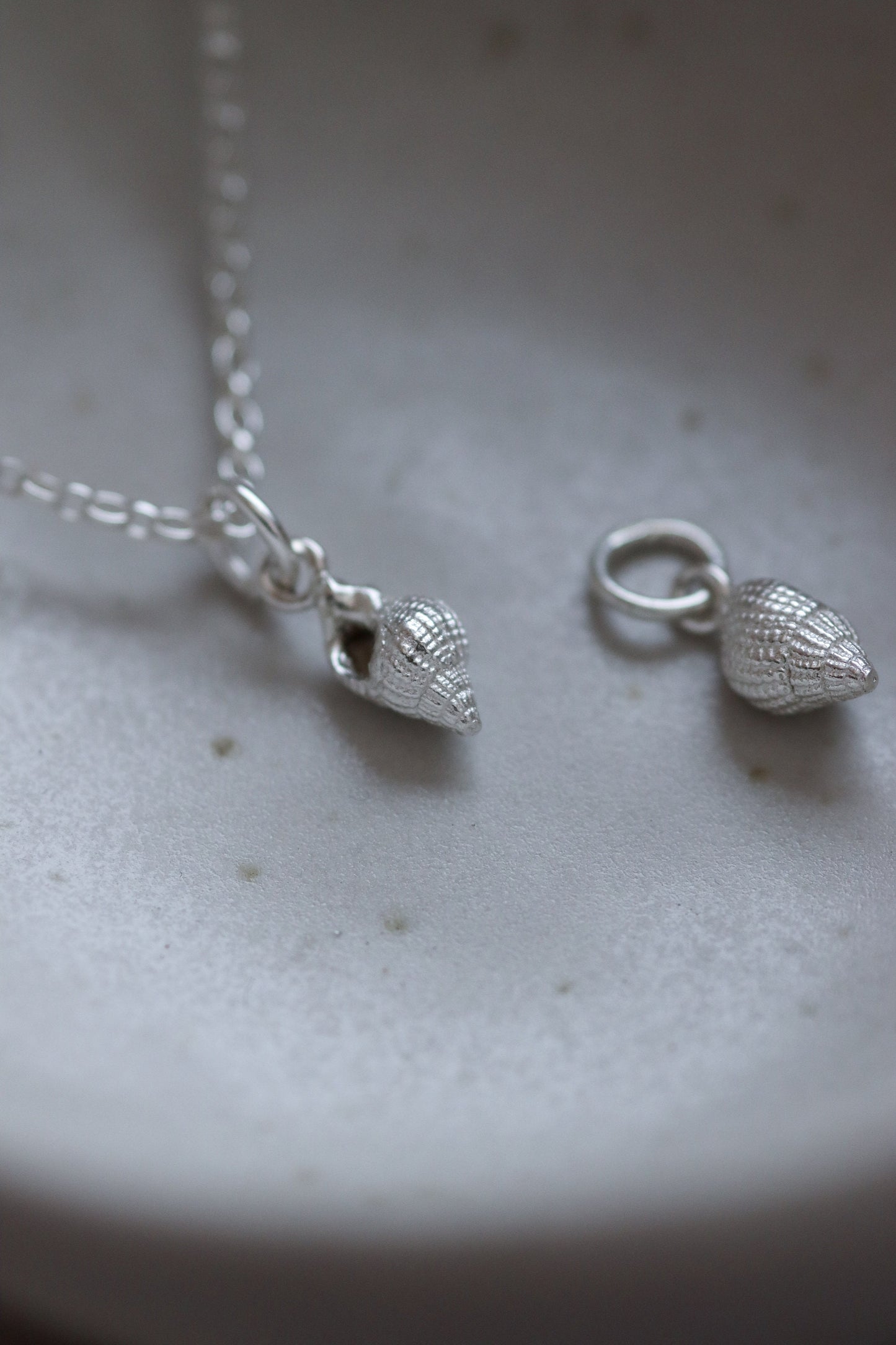 Tiny Silver Dorset Seashell Necklace /British Mudeford Whelk Seashell in Sterling Silver