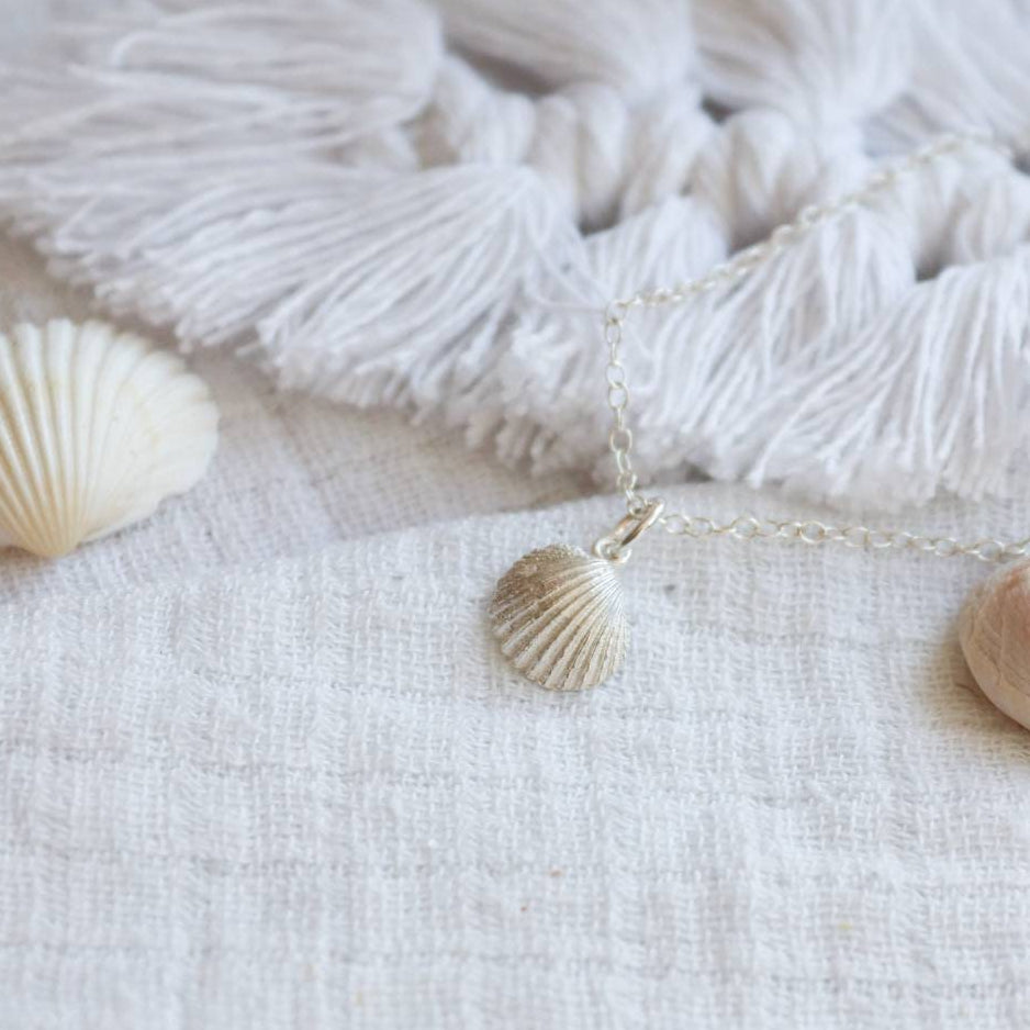 A silver cockle shell on a muslin cloth with real cornish cockle shells.