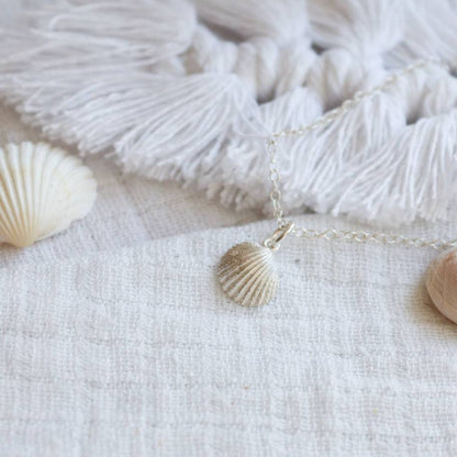 A silver cockle shell on a muslin cloth with real cornish cockle shells.